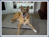 Beautiful Heidi